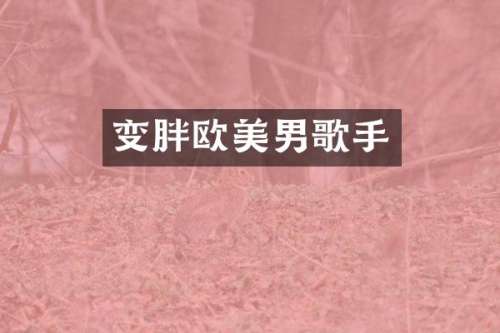 变胖欧美男歌手