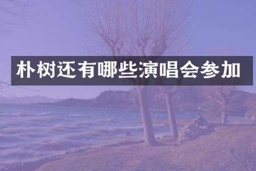 朴树还有哪些演唱会参加