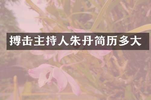 搏击主持人朱丹简历多大