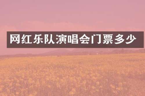 网红乐队演唱会门票多少
