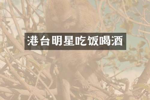 港台明星吃饭喝酒