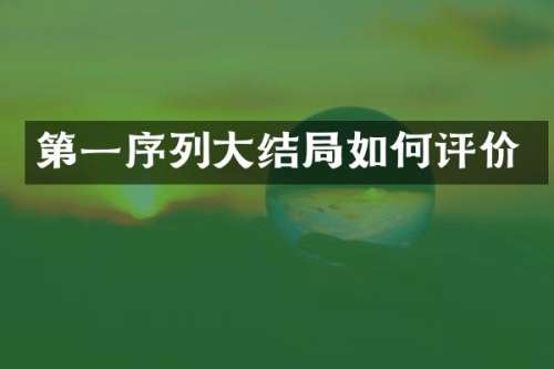 第一序列大结局如何评价
