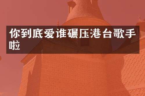你到底爱谁碾压港台歌手啦