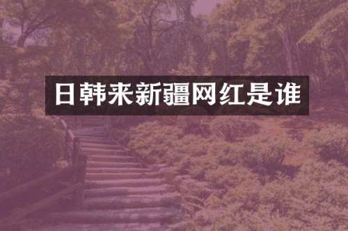 日韩来新疆网红是谁