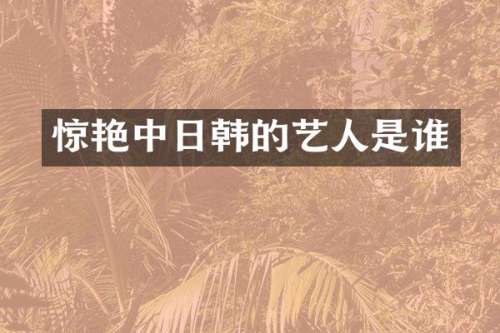 惊艳中日韩的艺人是谁