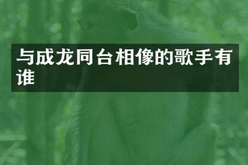 与成龙同台相像的歌手有谁