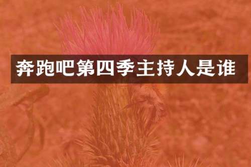 奔跑吧第四季主持人是谁