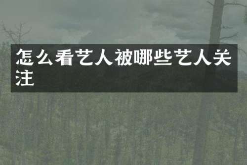 怎么看艺人被哪些艺人关注