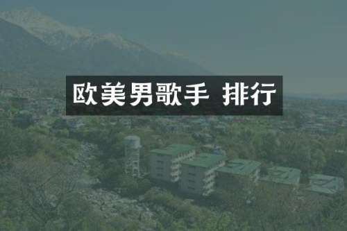 欧美男歌手 排行