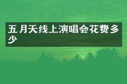 五月天线上演唱会花费多少