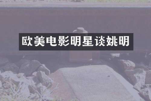 欧美电影明星谈姚明