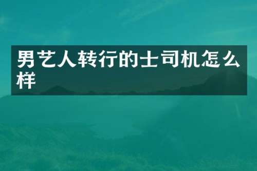 男艺人转行的士司机怎么样