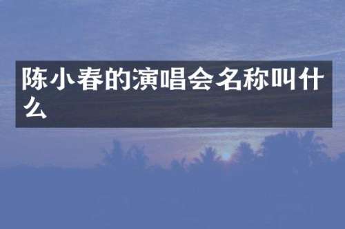 陈小春的演唱会名称叫什么