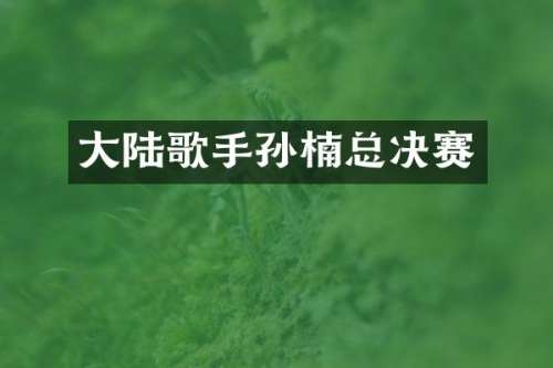 大陆歌手孙楠总决赛