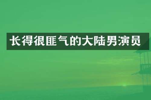 长得很匪气的大陆男演员