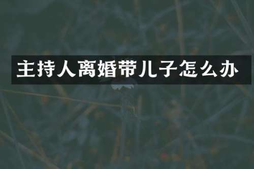 主持人离婚带儿子怎么办