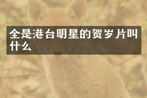 全是港台明星的贺岁片叫什么