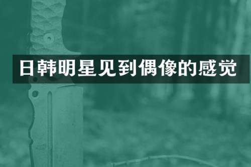 日韩明星见到偶像的感觉