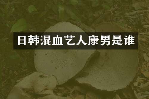 日韩混血艺人康男是谁