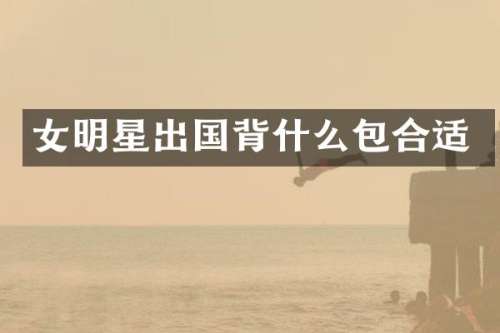 女明星出国背什么包合适