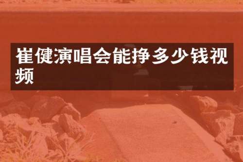 崔健演唱会能挣多少钱视频