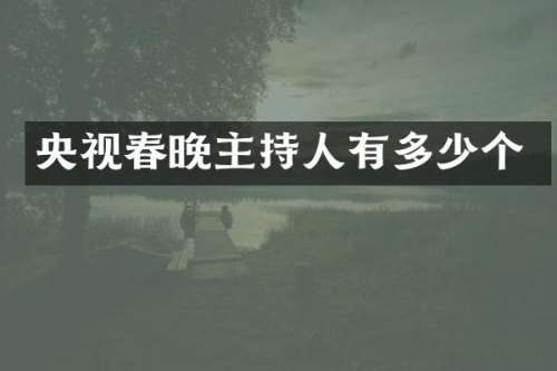 央视主持人有多少个