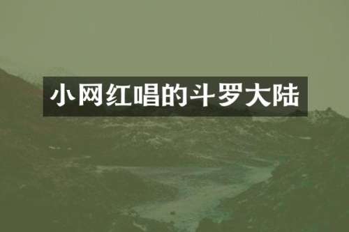 小网红唱的斗罗大陆