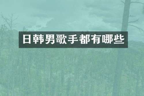 日韩男歌手都有哪些