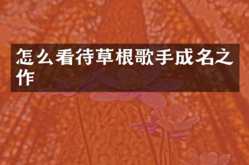 怎么看待草根歌手成名之作