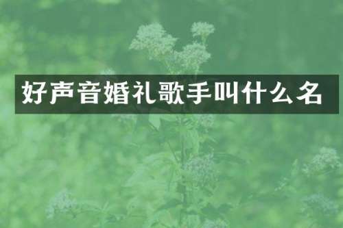 好声音婚礼歌手叫什么名