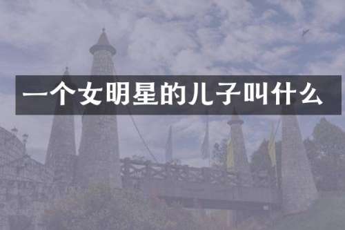 一个女明星的儿子叫什么