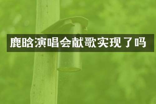 鹿晗演唱会献歌实现了吗