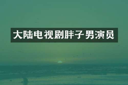 大陆电视剧胖子男演员