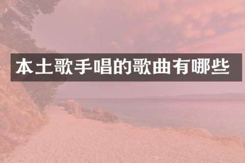 本土歌手唱的歌曲有哪些
