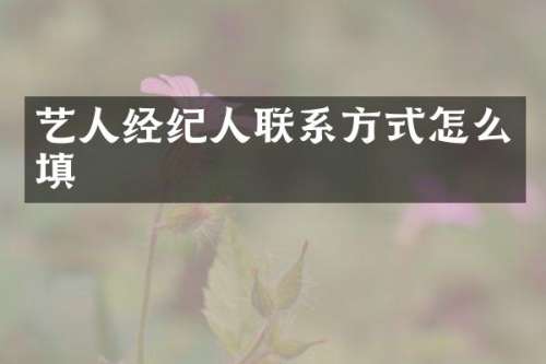 艺人经纪人联系方式怎么填