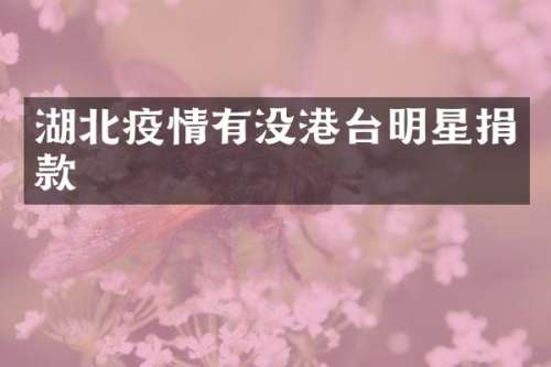 湖北疫情有没港台明星捐款