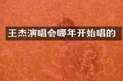 王杰演唱会哪年开始唱的