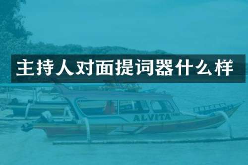 主持人对面提词器什么样
