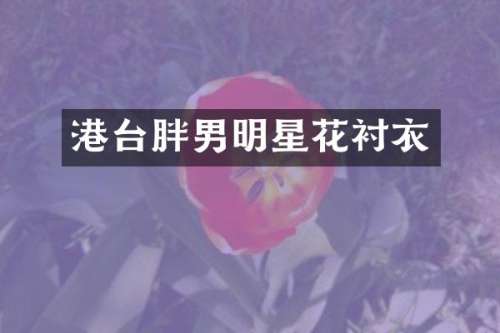 港台胖男明星花衬衣