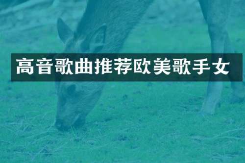 高音歌曲推荐欧美歌手女