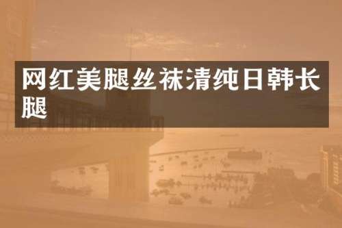 网红丝袜清纯日韩长腿