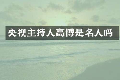 央视主持人高博是名人吗