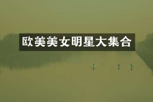 欧美明星大集合