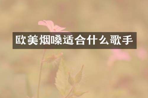 欧美烟嗓适合什么歌手
