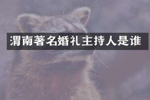 渭南著名婚礼主持人是谁