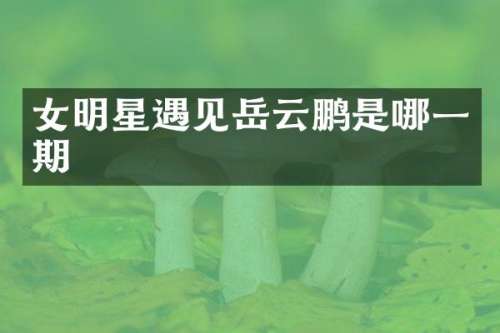 女明星遇见岳云鹏是哪一期