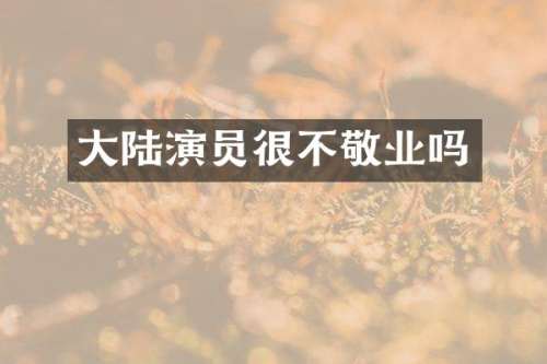 大陆演员很不敬业吗