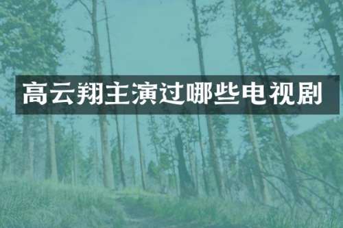 高云翔主演过哪些电视剧