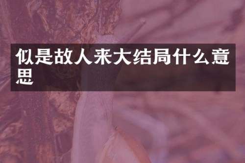 似是故人来大结局什么意思