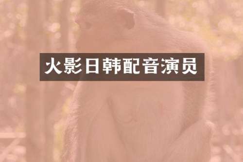 火影日韩配音演员